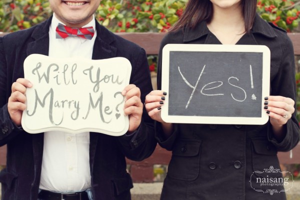 will-you-marry-me-boards-graphic