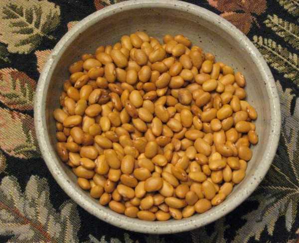 yellow-indian-woman-beans