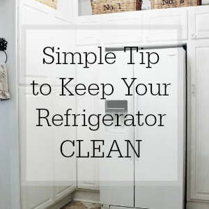 Simple-Tip-to-Keep-Your-Refrigerator-Clean