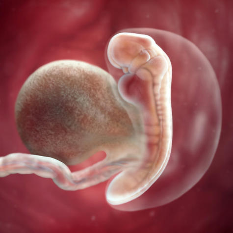 pregnancy-week-5-amniotic-sac_square