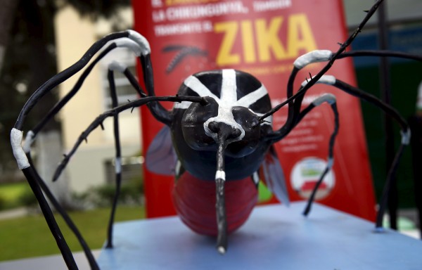 A model of a mosquito is exhibited during a campaign to raise awareness of preventing the entry of the Zika virus into the country, at the Health Ministry in Lima, Peru January 27, 2016.  The Peruvian Health Ministry is organising a campaign to help prevent the spread of the Zika virus and other mosquito-borne diseases. REUTERS/Mariana Bazo