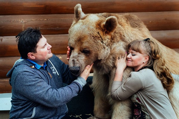 adopted-bear-russian-family-stepan-a4