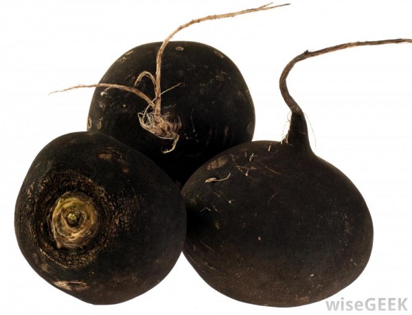 black-radish-against-white-background