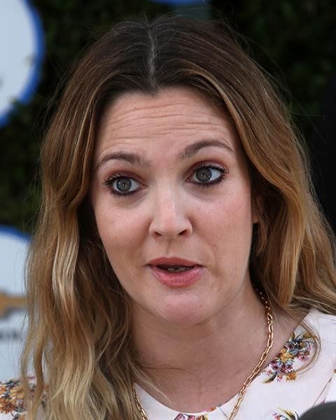 drew-barrymore-wenn-051716-480x600-480x600